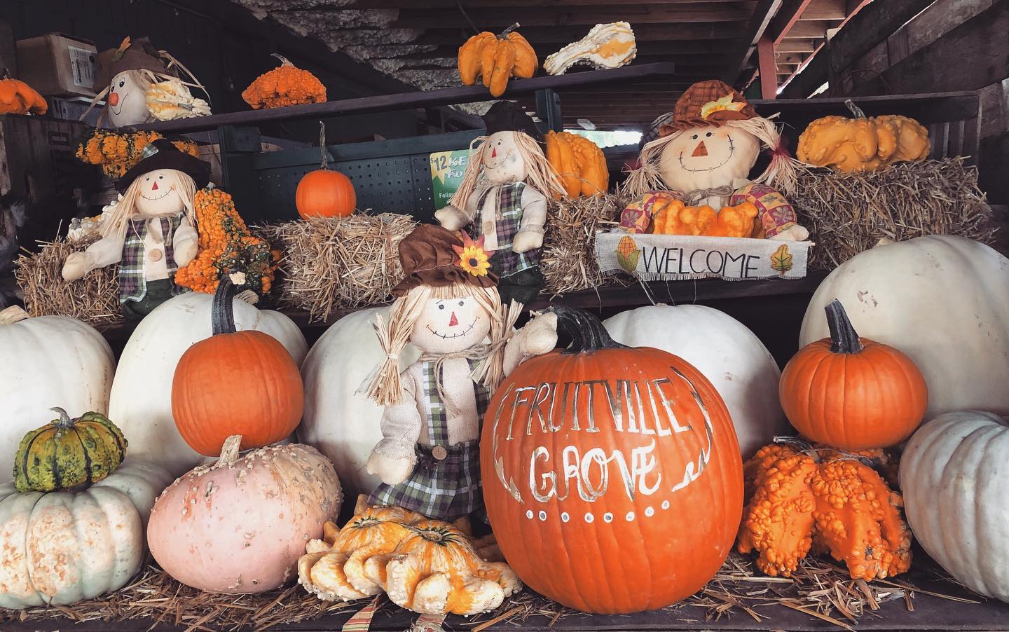 38th Annual Fruitville Grove Pumpkin Fest