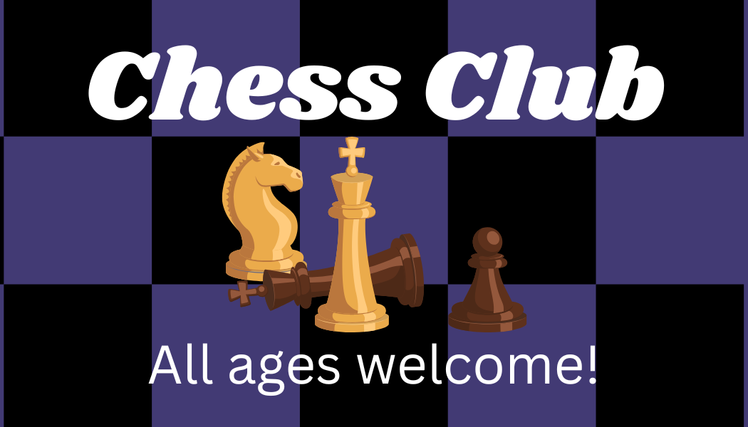 Chess Club at Braden River Branch Library