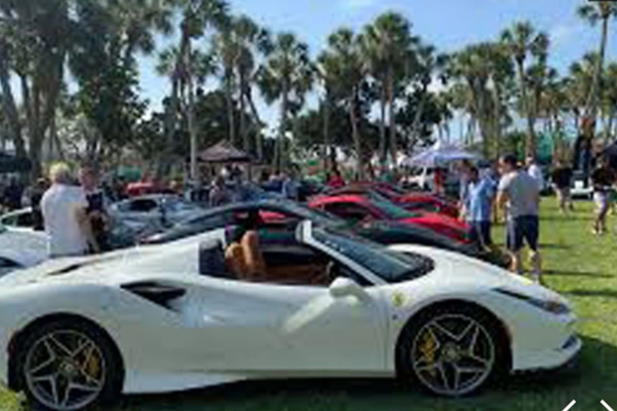 Exotic Cars on the Circle
