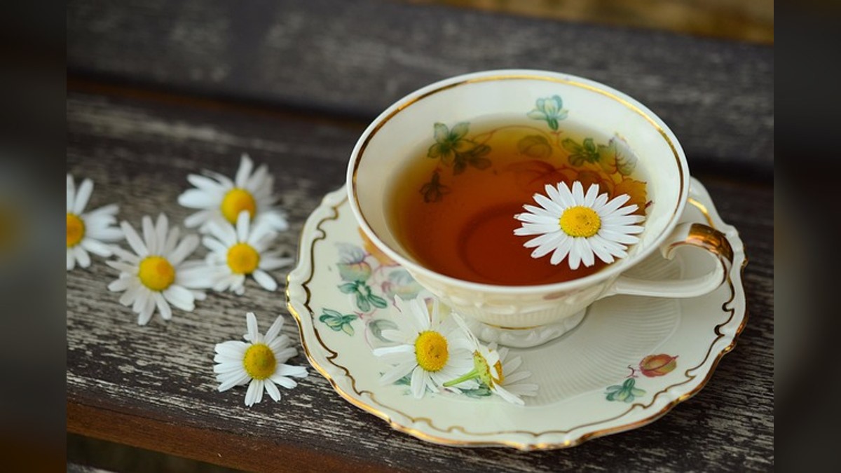 Teatime with the Friends of South Manatee Library at South Manatee Branch Library