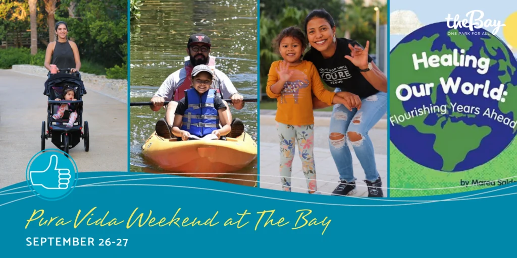 Pura Vida Weekend at The Bay