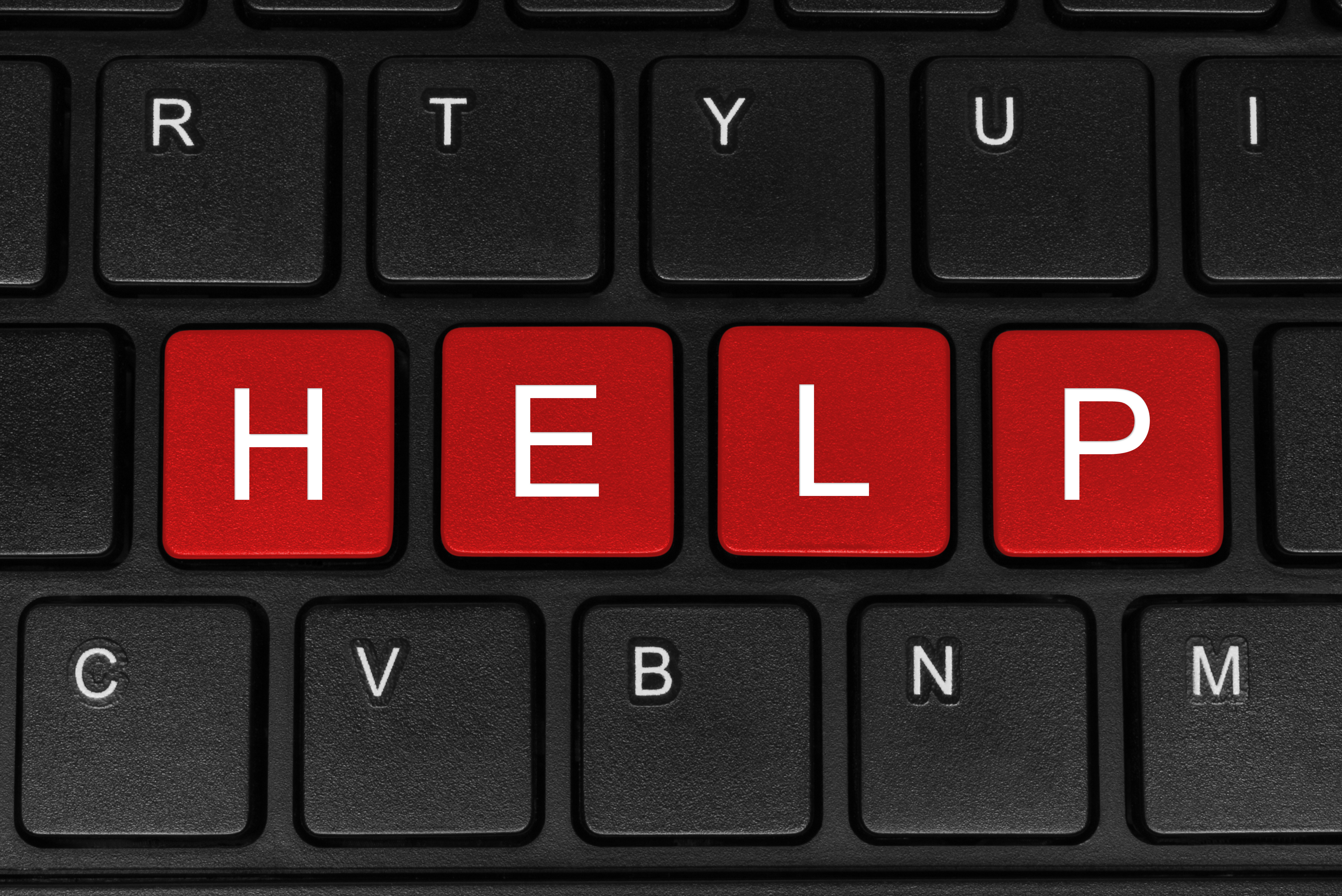 One-on-One Tech Help at South Manatee Branch Library