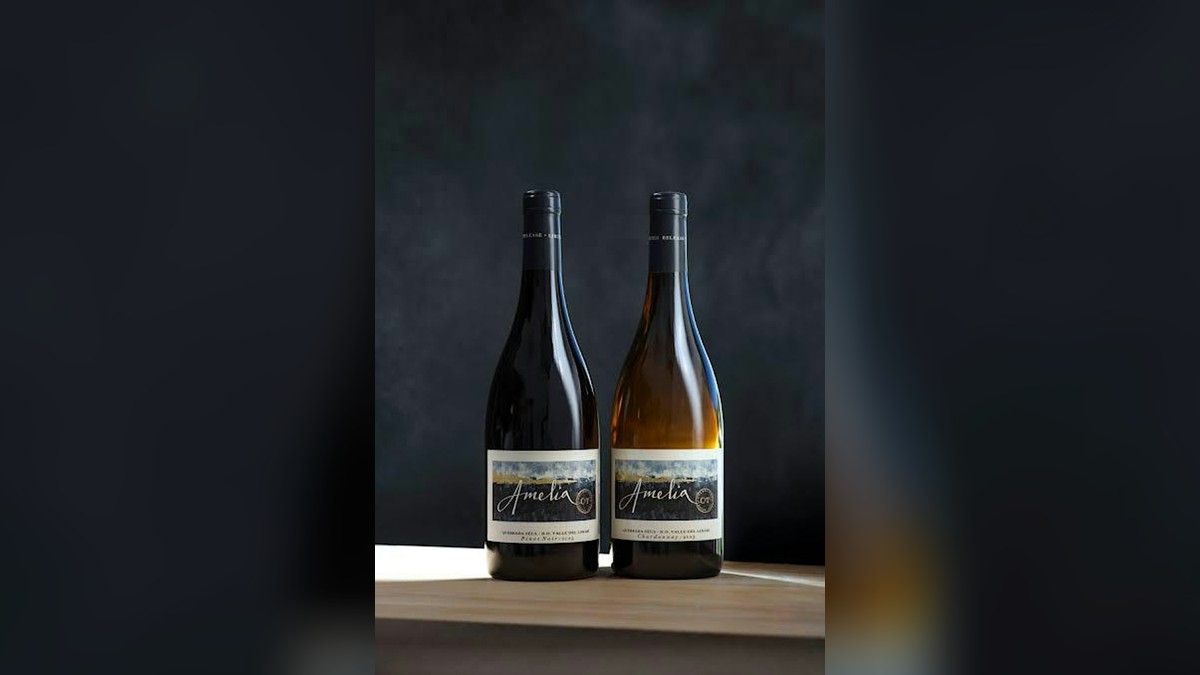 Chilean Wine Dinner
