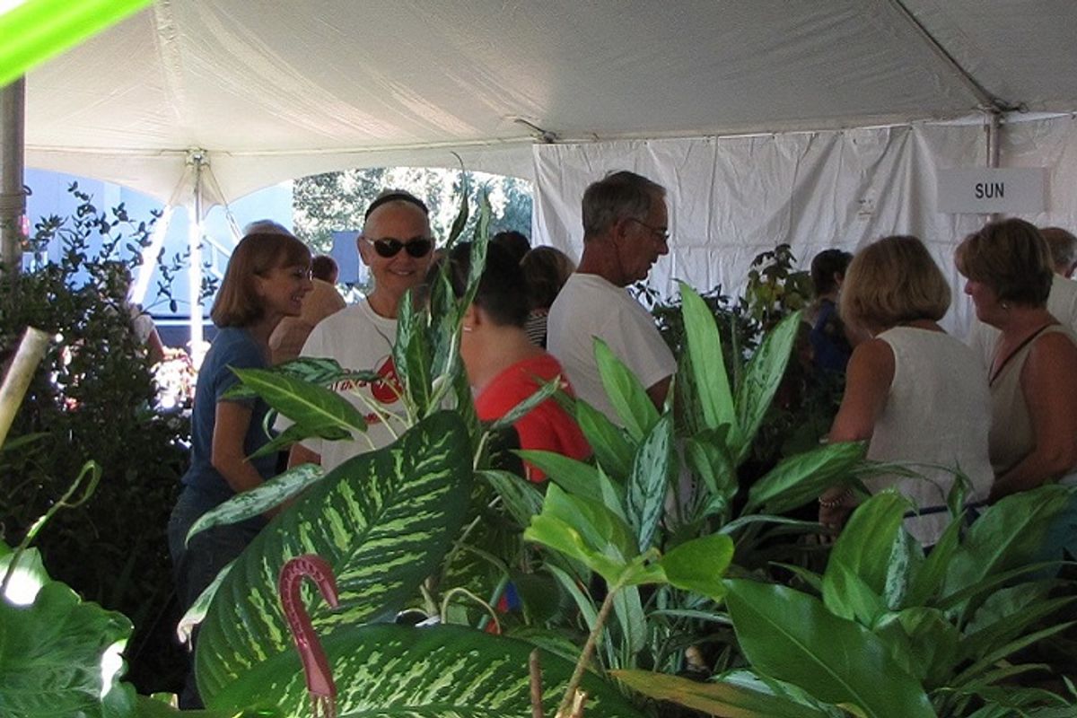 UF/IFAS Master Gardener Plant Sale
