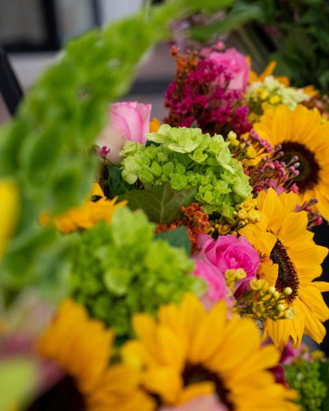 Sarasota Farmers Market