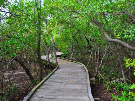 Ken Thompson Park