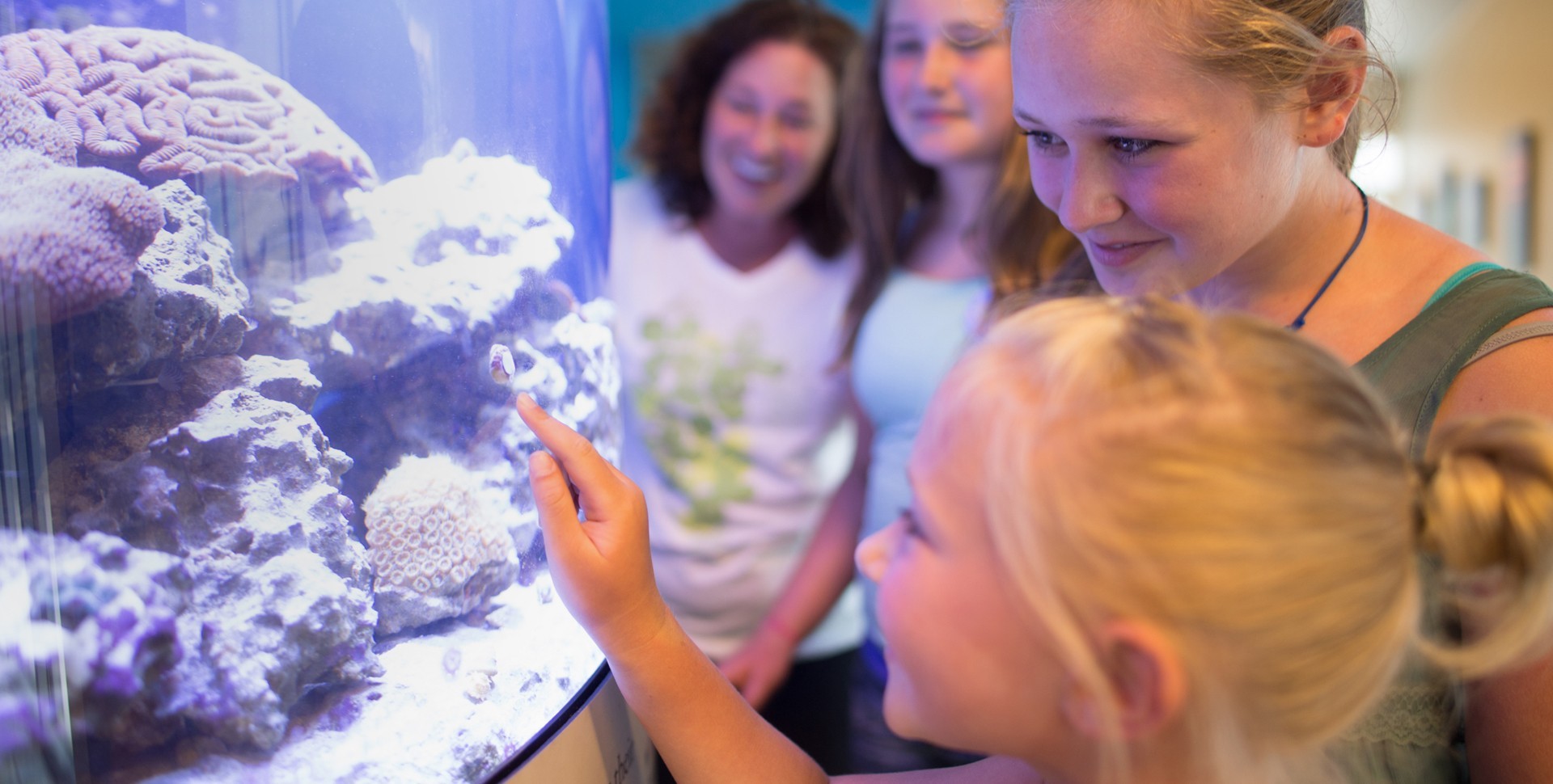 Mote Marine Laboratory & Aquarium