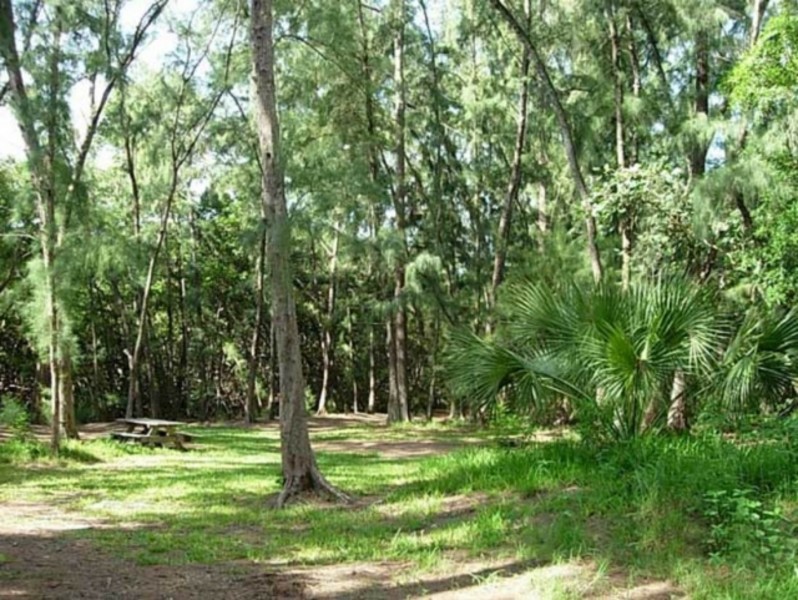 Ted Sperling Park at South Lido Beach