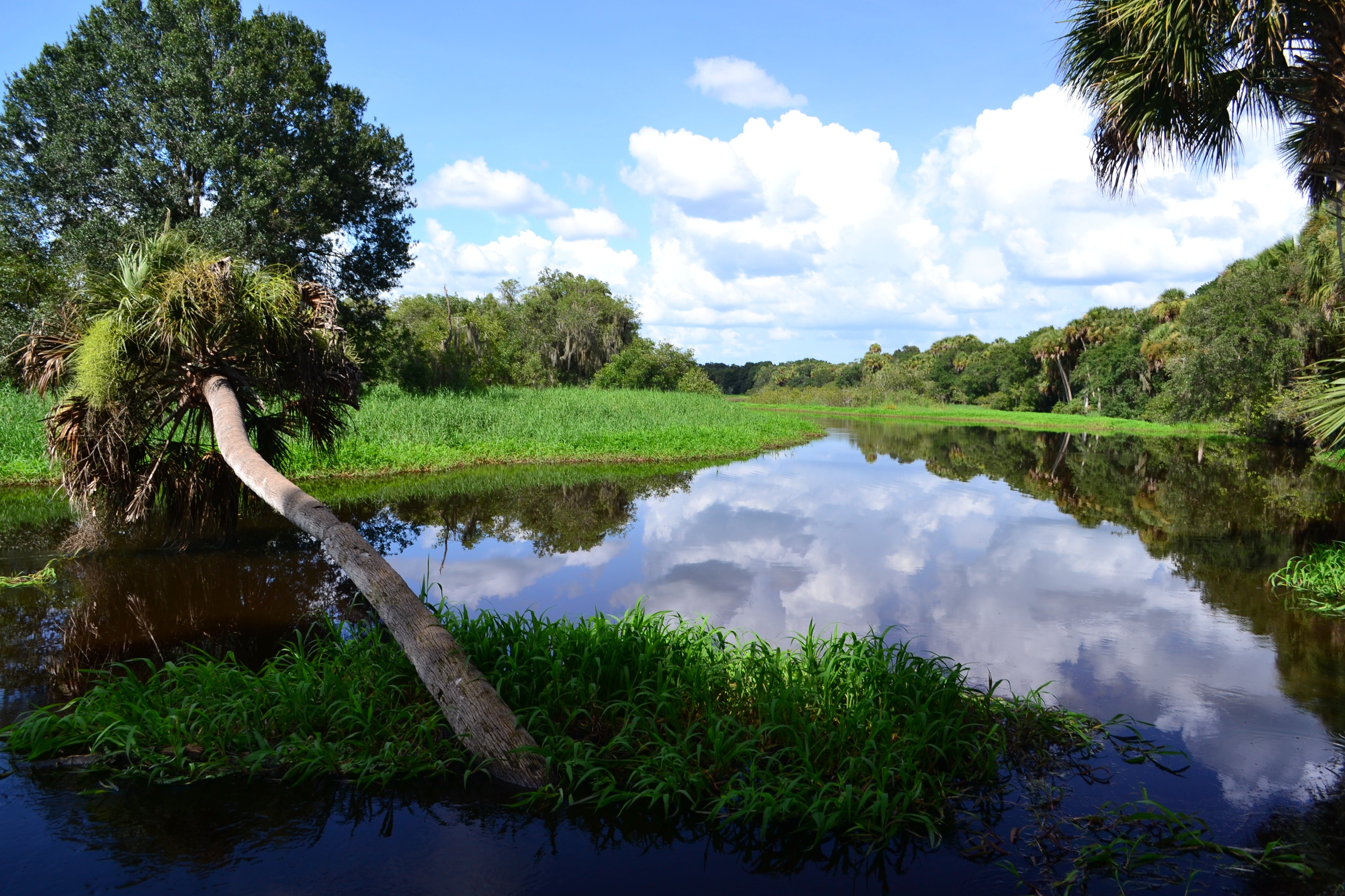 Myakka River State Park